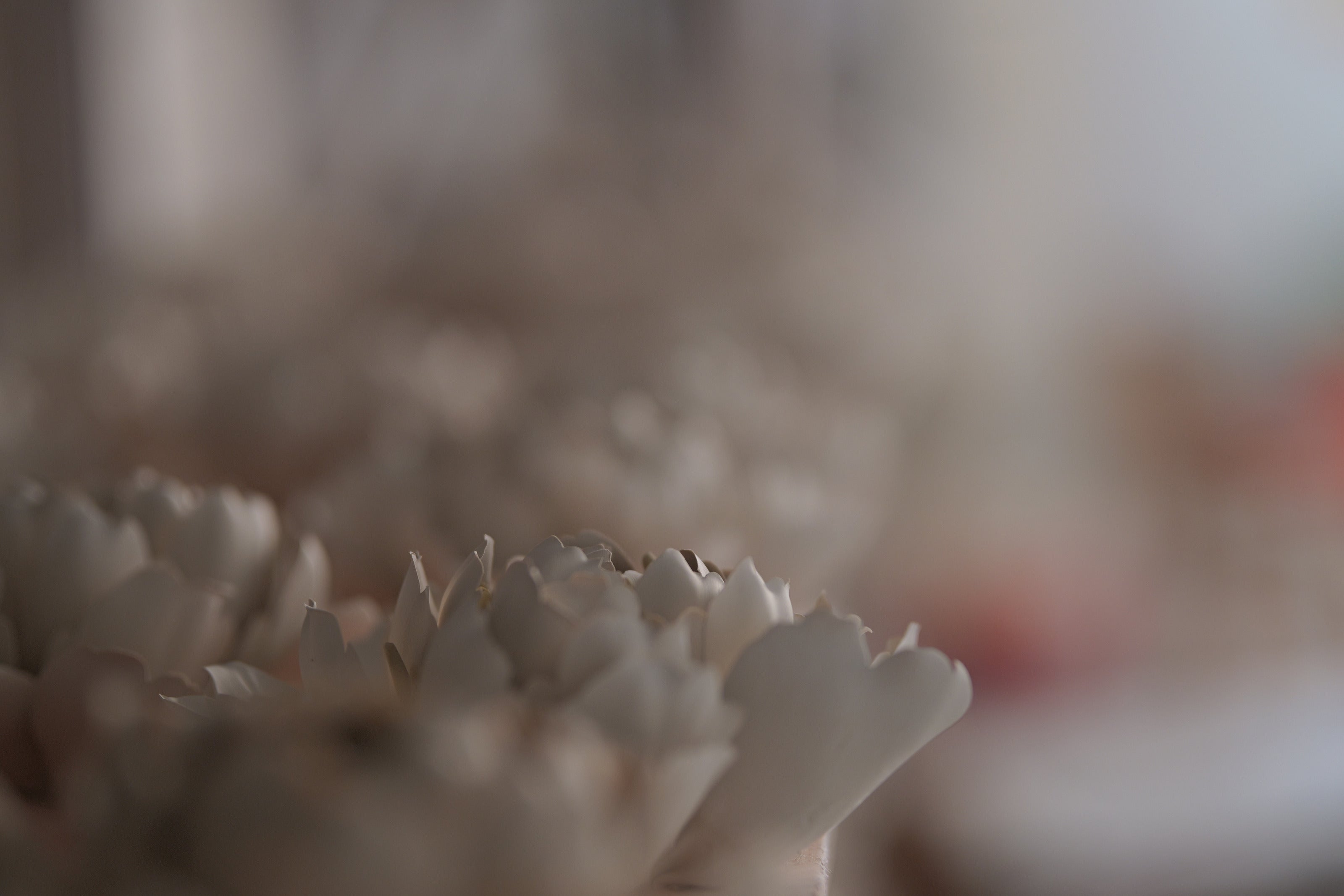 MUSE PRIME large-format depth at T1.8